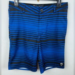 Vans Board Shorts